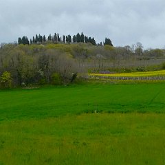 P1200012     Sulle colline moreniche.